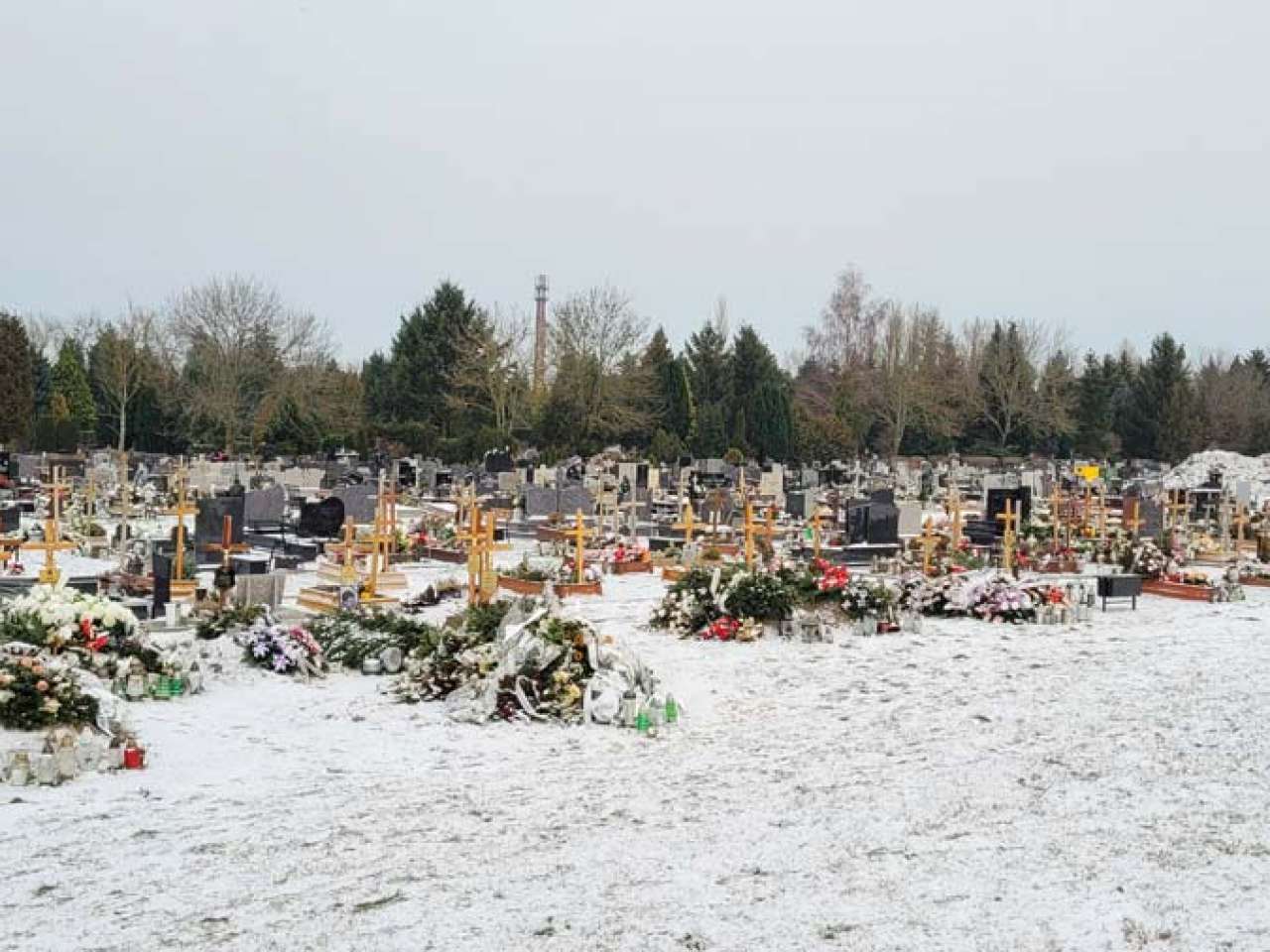 Czy miasto zmniejszy stawki na cmentarzu?