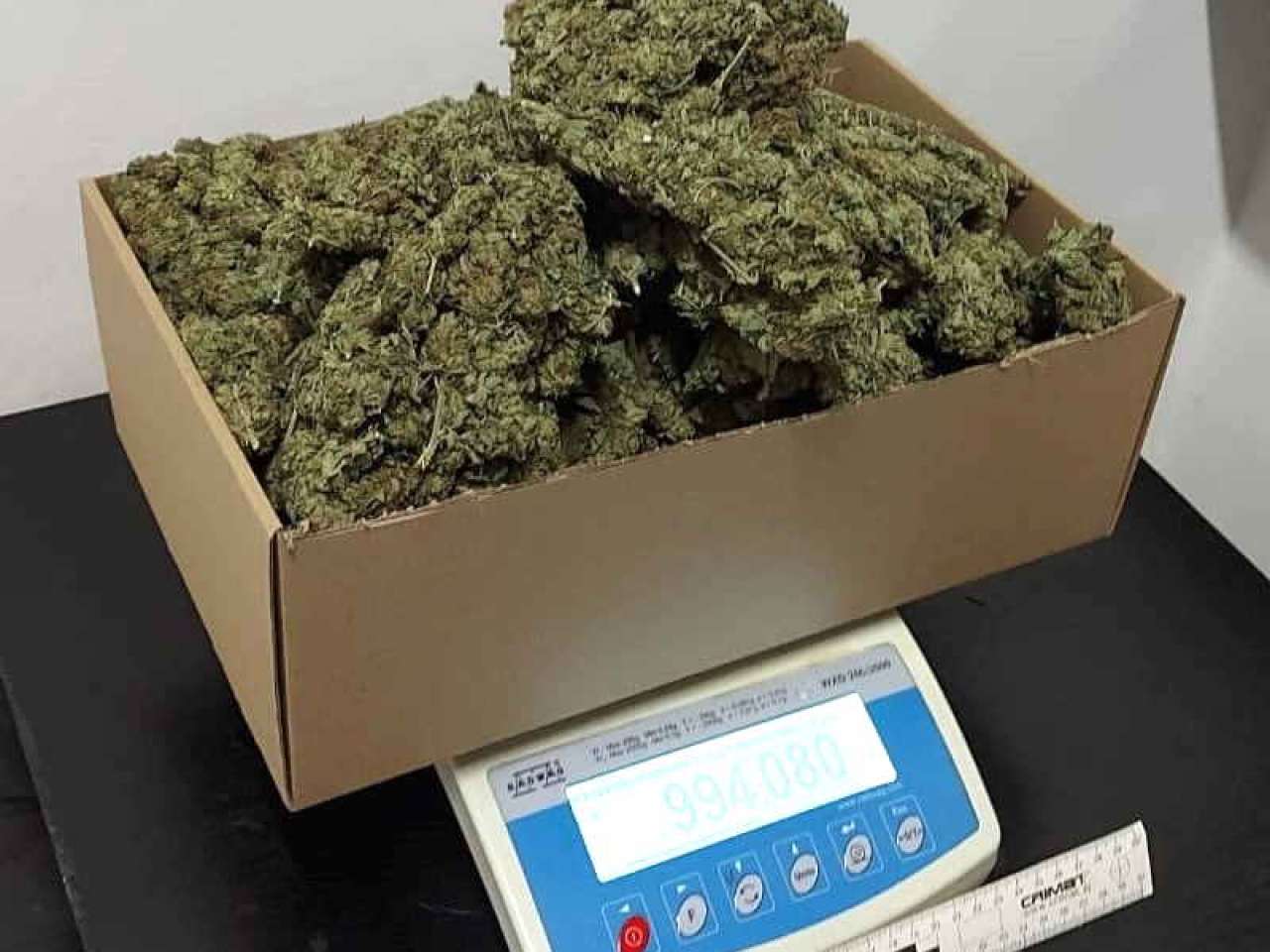 Kilogram marihuany, krzewy i mefedron zabezpieczyli kołobrzescy policjanci