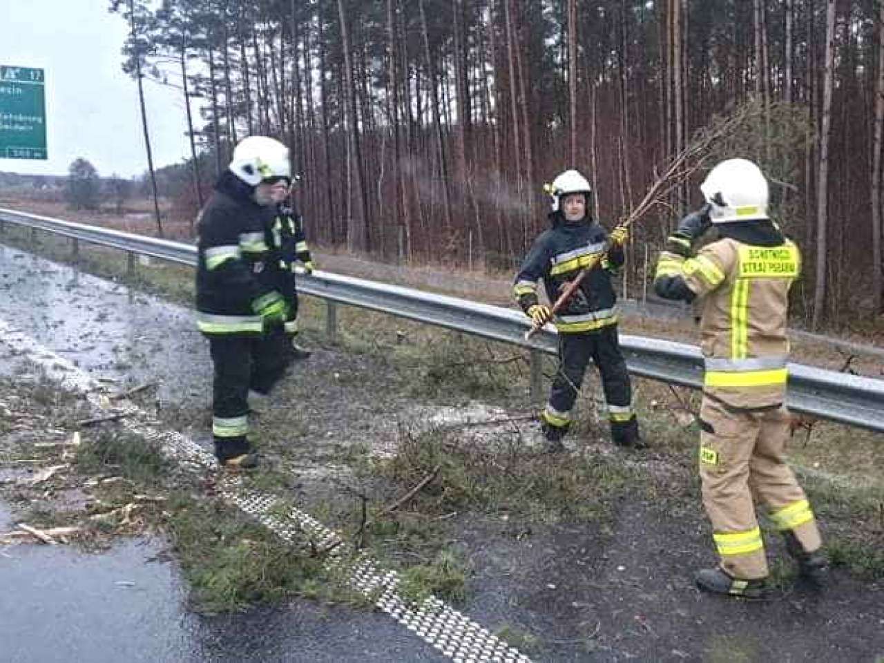 Ponad 30 interwencji strażaków związanych z usuwaniem powalonych drzew