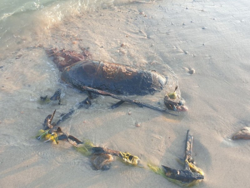 Z plaży w Grzybowie saperzy wywiezli dwie bomby lotnicze