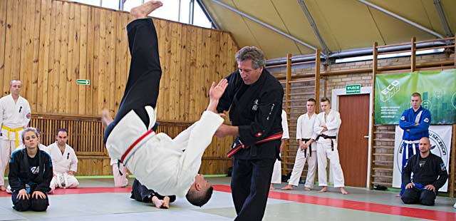 Międzynarodowe warsztaty aikido