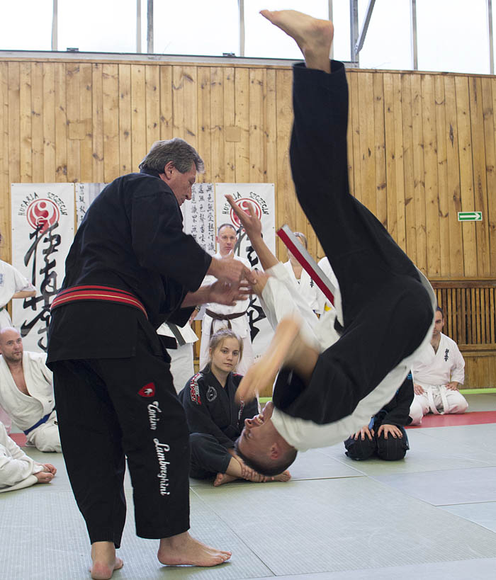 Międzynarodowe warsztaty aikido